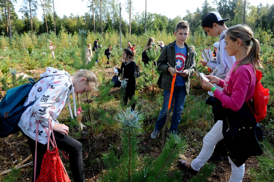 Aluksniesiem.lv raksta attēla aizvietotājs