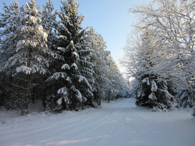 Aluksniesiem.lv raksta attēla aizvietotājs