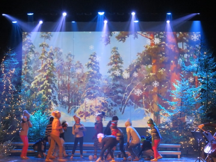 Aluksniesiem.lv raksta attēla aizvietotājs