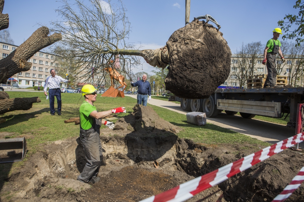 Aluksniesiem.lv raksta attēla aizvietotājs