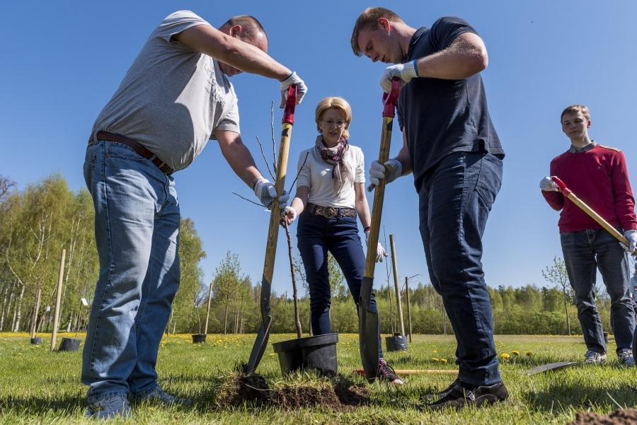 Aluksniesiem.lv raksta attēla aizvietotājs
