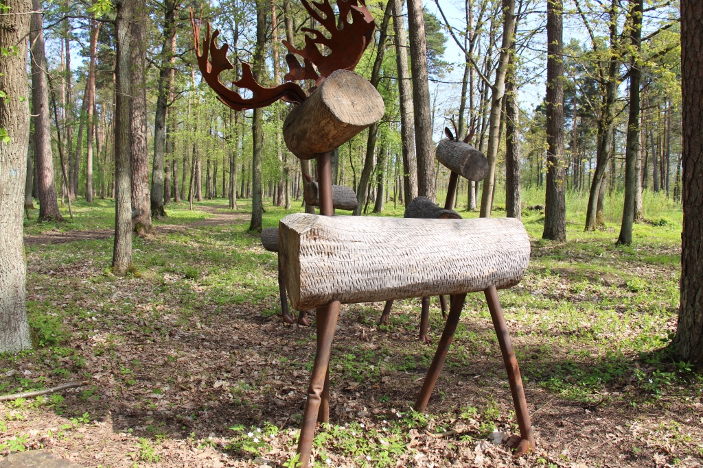 Aluksniesiem.lv raksta attēla aizvietotājs