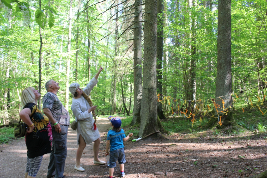 Aluksniesiem.lv raksta attēla aizvietotājs