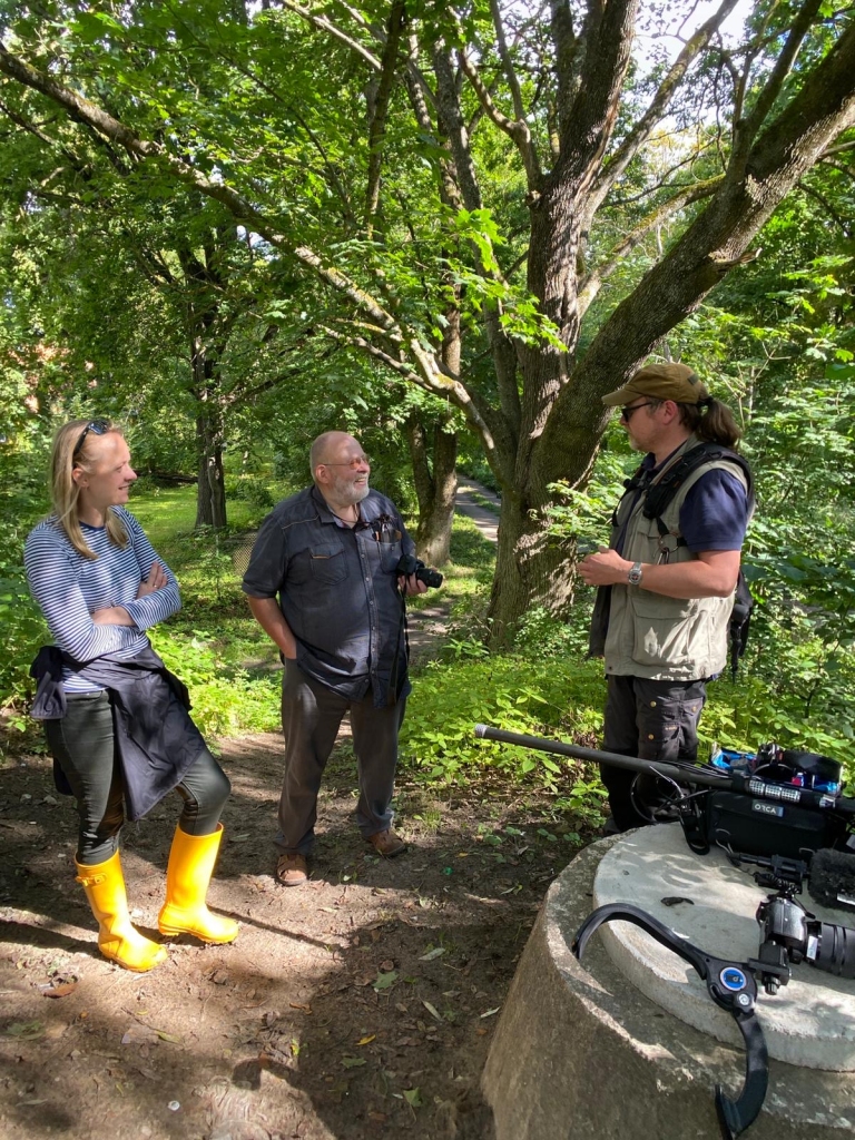 Aluksniesiem.lv raksta attēla aizvietotājs