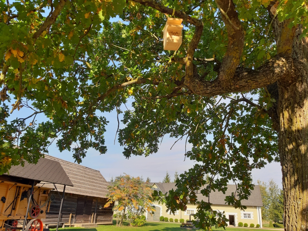 Aluksniesiem.lv raksta attēla aizvietotājs