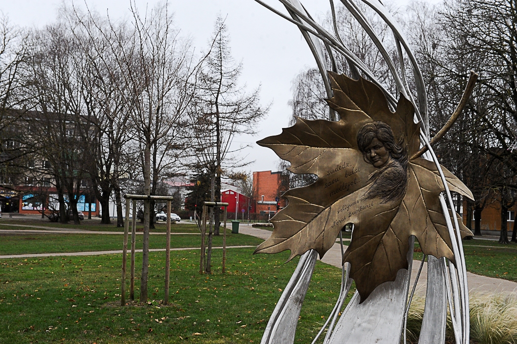 Aluksniesiem.lv raksta attēla aizvietotājs