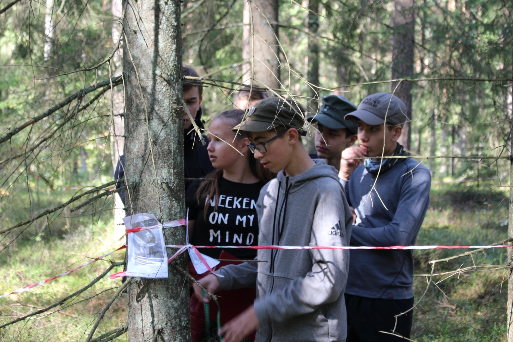 Aluksniesiem.lv raksta attēla aizvietotājs