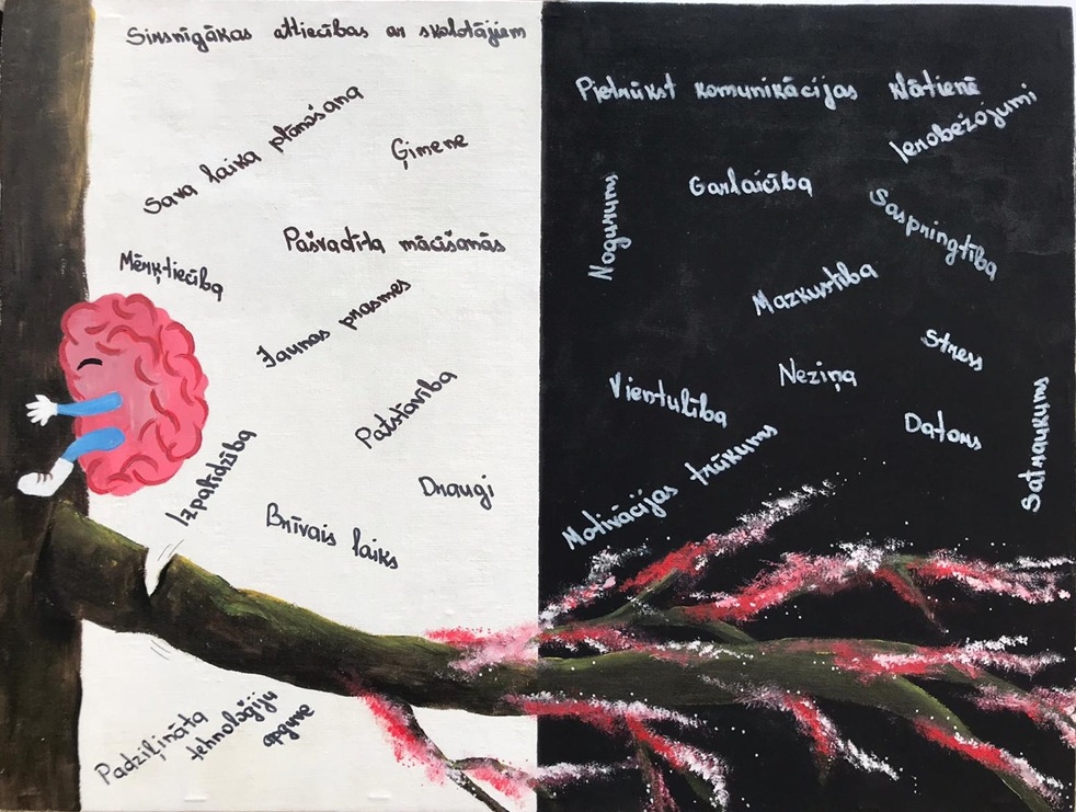 Amanda Biseniece, Gulbenes vidusskola, 11.klase