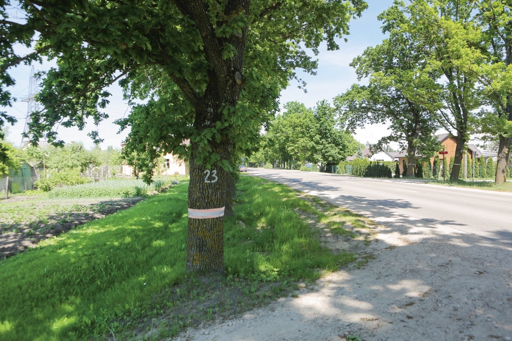 Aluksniesiem.lv raksta attēla aizvietotājs