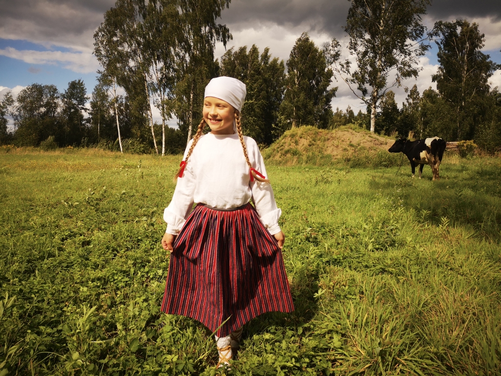 Aluksniesiem.lv raksta attēla aizvietotājs