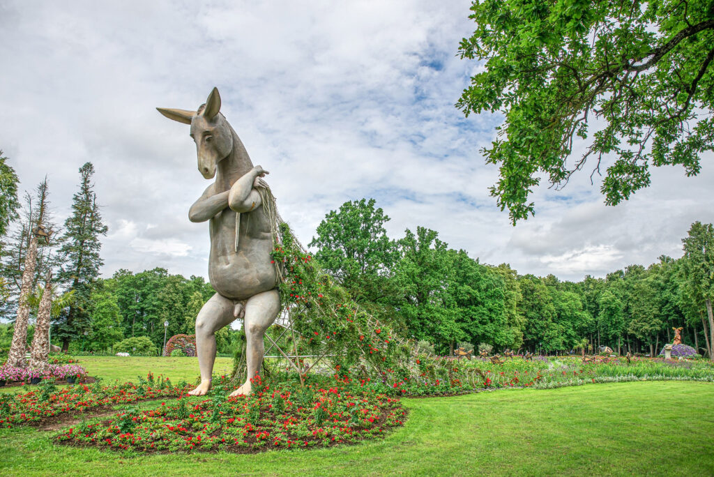 Aluksniesiem.lv raksta attēla aizvietotājs