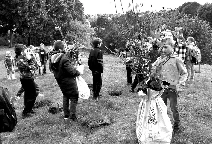 Aluksniesiem.lv raksta attēla aizvietotājs