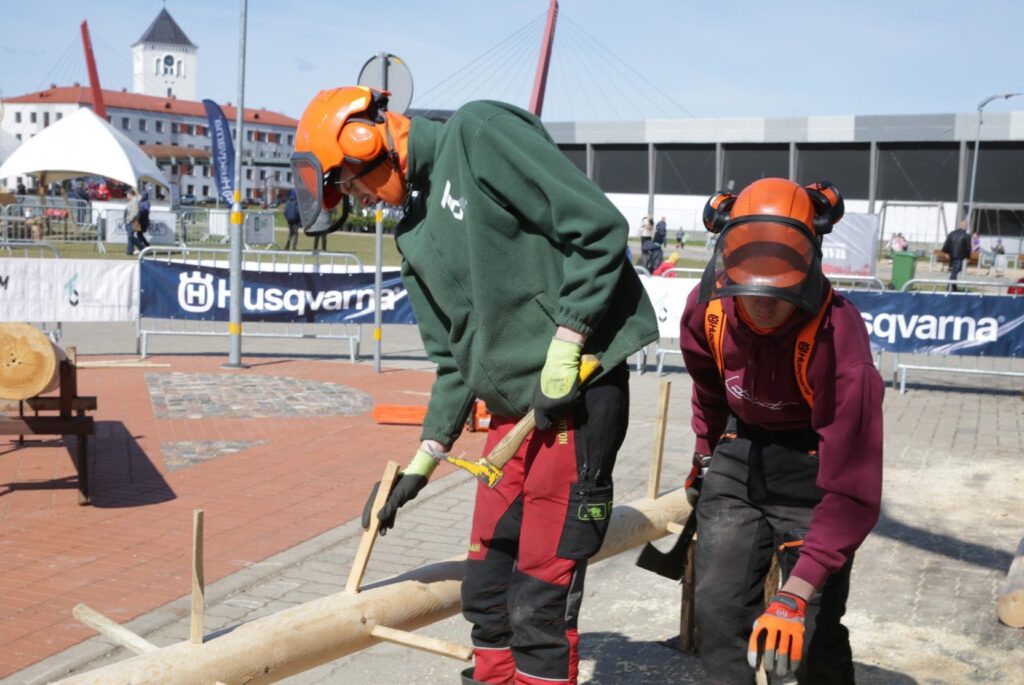 Aluksniesiem.lv raksta attēla aizvietotājs