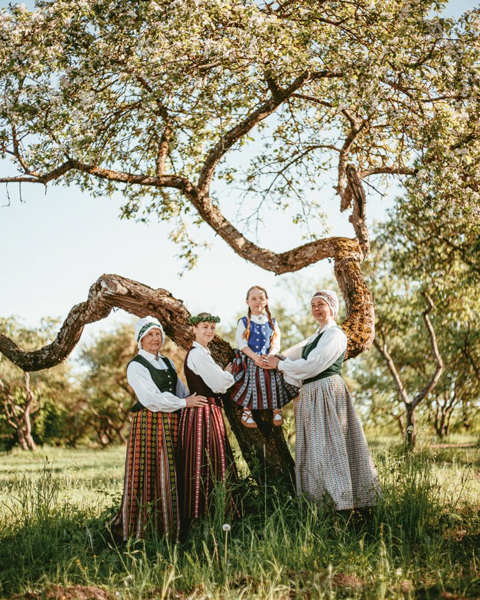 Aluksniesiem.lv raksta attēla aizvietotājs