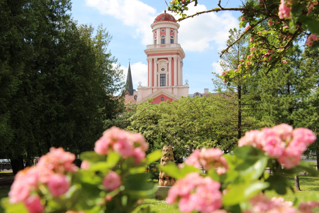 Aluksniesiem.lv raksta attēla aizvietotājs