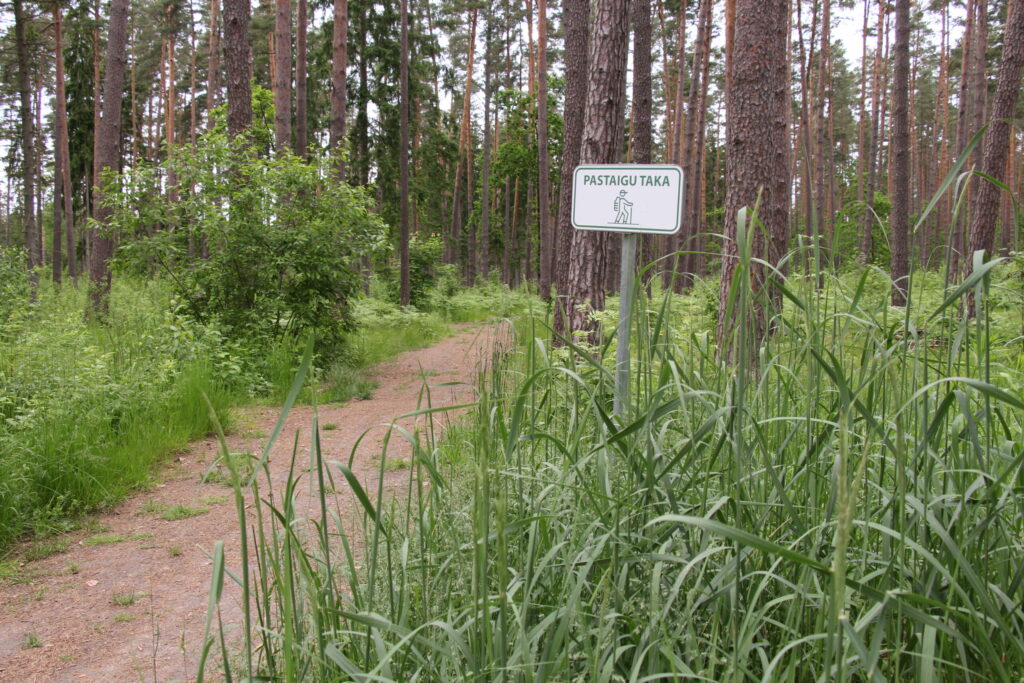 Aluksniesiem.lv raksta attēla aizvietotājs