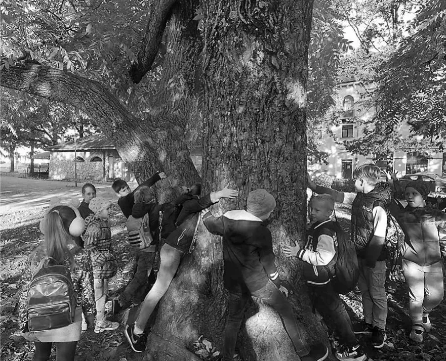 Aluksniesiem.lv raksta attēla aizvietotājs