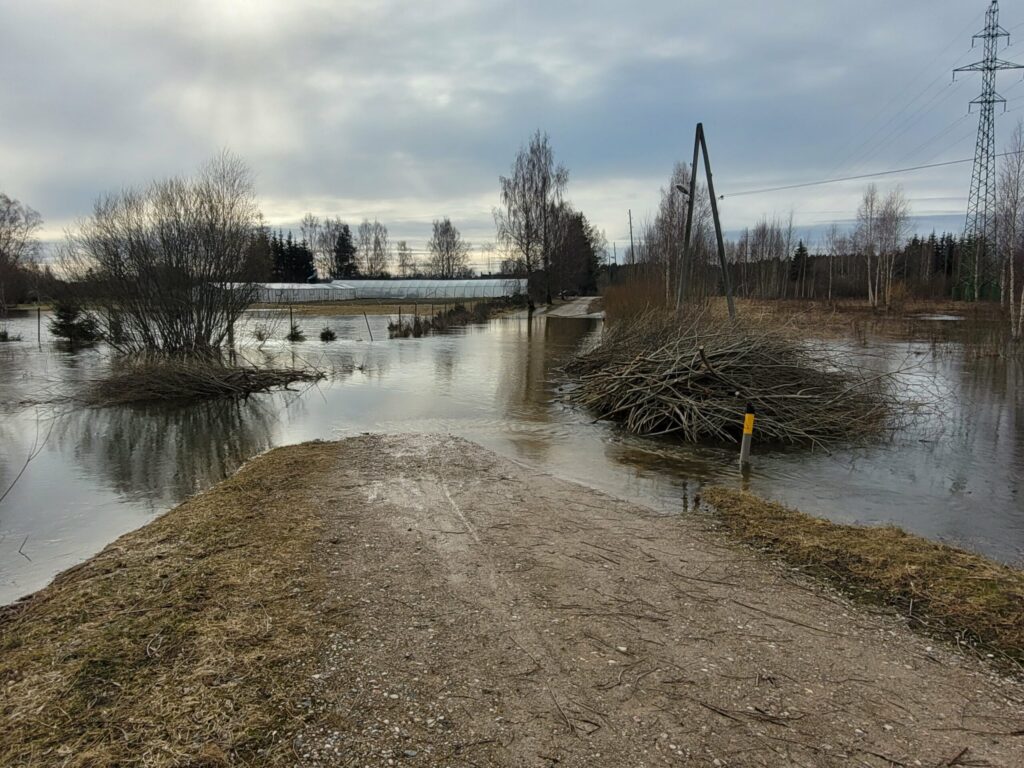 Aluksniesiem.lv raksta attēla aizvietotājs