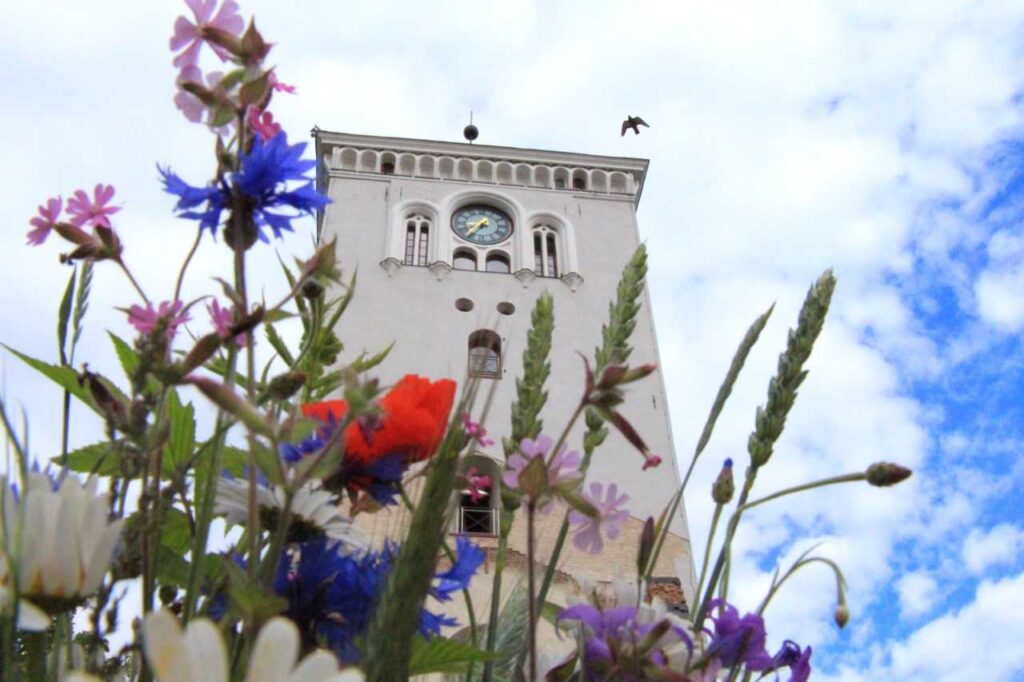 Aluksniesiem.lv raksta attēla aizvietotājs