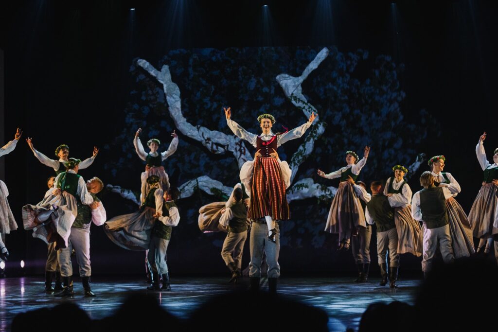 Aluksniesiem.lv raksta attēla aizvietotājs