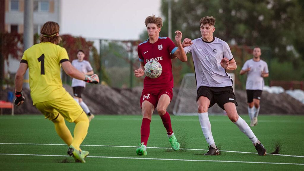 Aluksniesiem.lv raksta attēla aizvietotājs