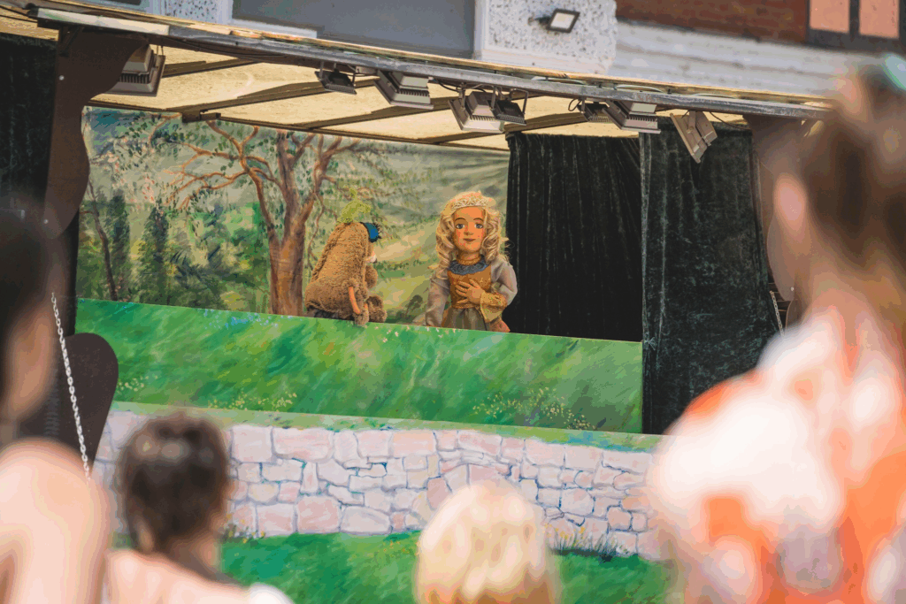 Aluksniesiem.lv raksta attēla aizvietotājs