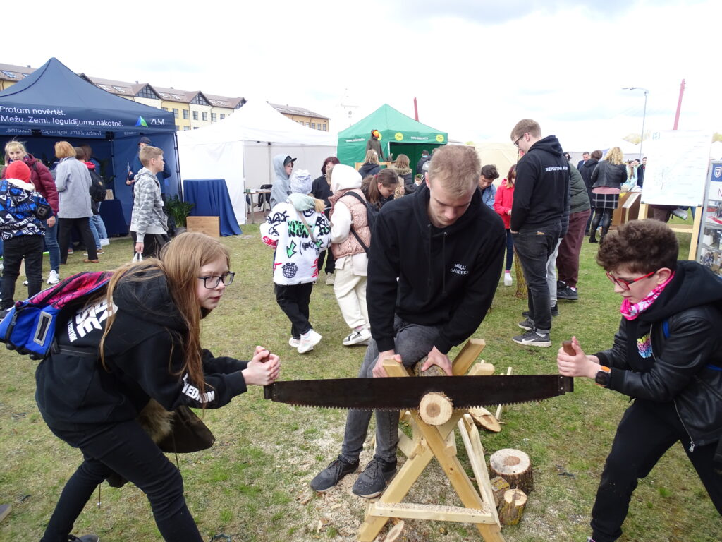 Aluksniesiem.lv raksta attēla aizvietotājs