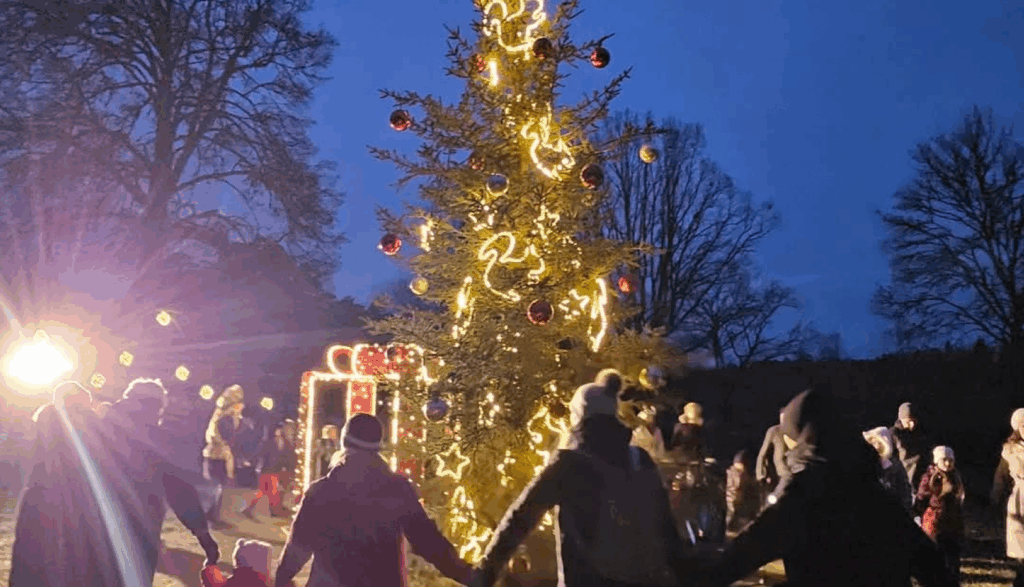 Aluksniesiem.lv raksta attēla aizvietotājs