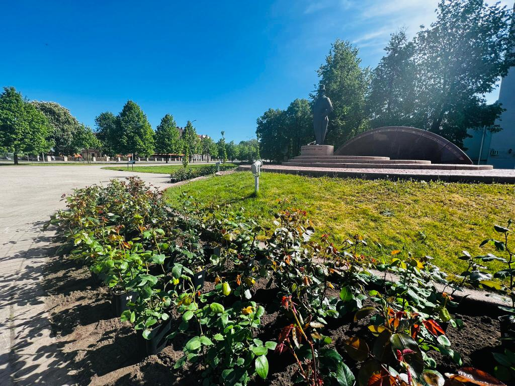 Aluksniesiem.lv raksta attēla aizvietotājs