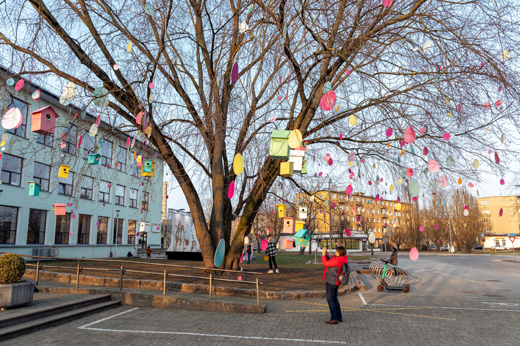 Aluksniesiem.lv raksta attēla aizvietotājs