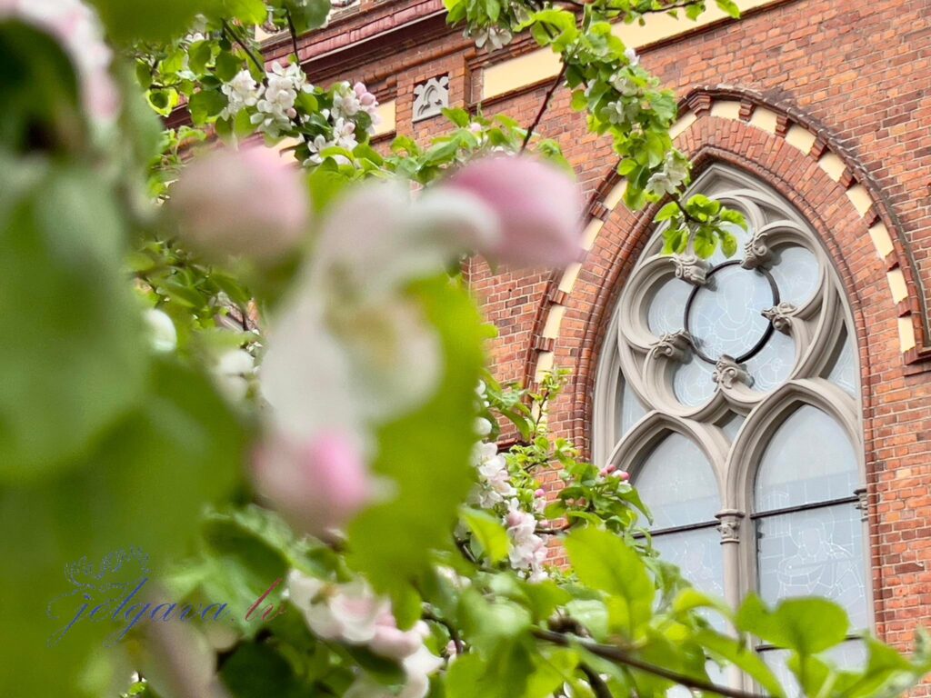 Aluksniesiem.lv raksta attēla aizvietotājs