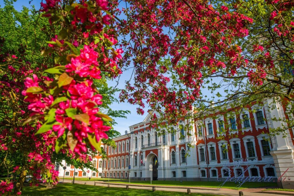 Aluksniesiem.lv raksta attēla aizvietotājs