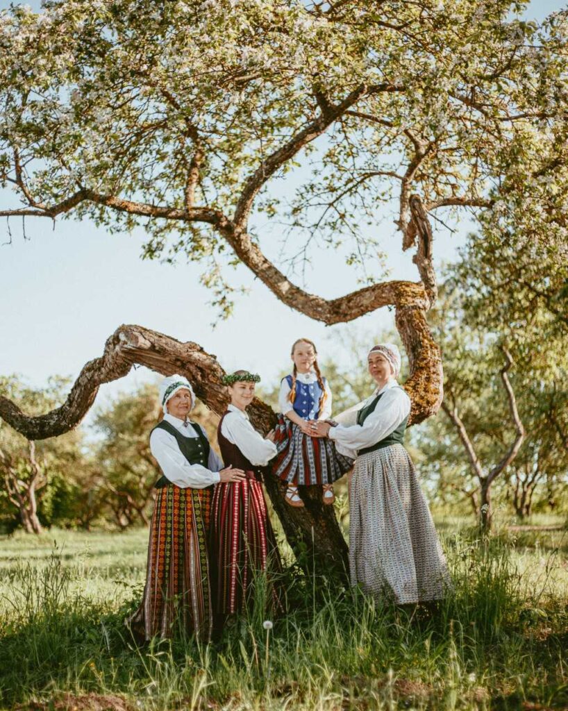 Aluksniesiem.lv raksta attēla aizvietotājs