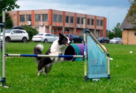 ADŽILITI paraugdemonstrējumi.