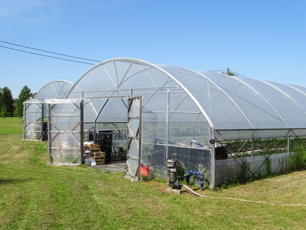 Divas siltumnīcas uzceltas ar LAD finansiālu atbalstu mazajiem lauksaimniekiem.