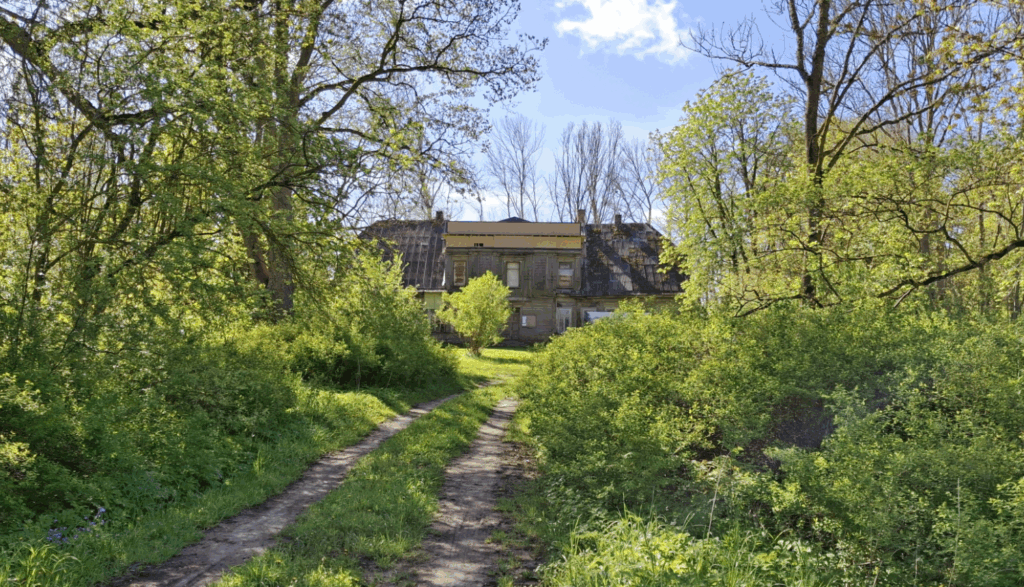 Aluksniesiem.lv raksta attēla aizvietotājs