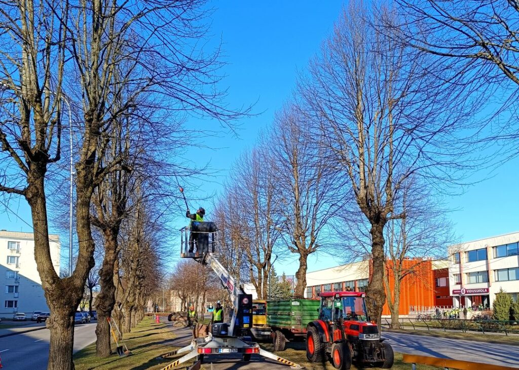 Aluksniesiem.lv raksta attēla aizvietotājs