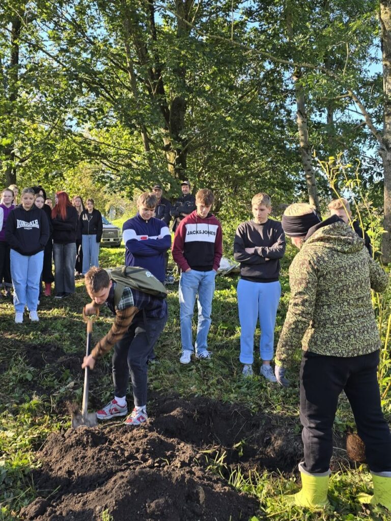 Aluksniesiem.lv raksta attēla aizvietotājs