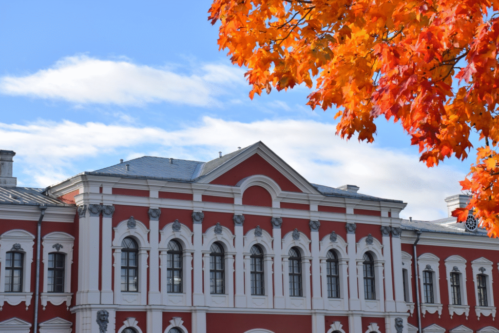 Aluksniesiem.lv raksta attēla aizvietotājs